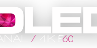Holed.com Discount